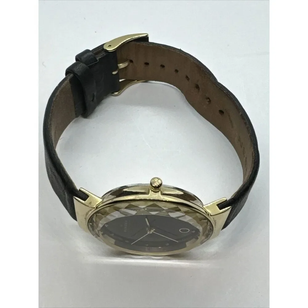 Skagen SKW2124 Women's Black Leather Strap Analog Dial Quartz Wrist Watch JNA925